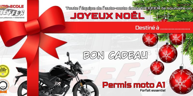 bon-cadeau-noel-permis-a1EDE62B12-57AF-D1A9-D69A-B2FEDA110730.jpg